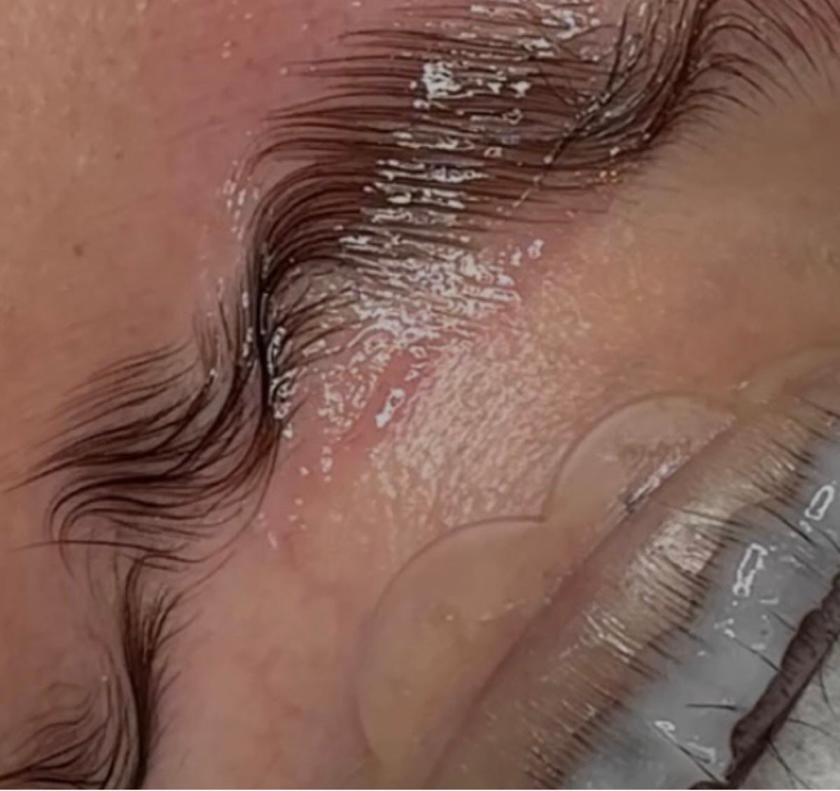A close-up of brow lamination in progress, product combed through the brow hairs